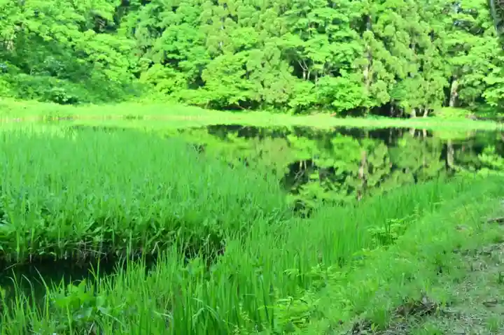 郡殿の池弁財天社(新潟県)