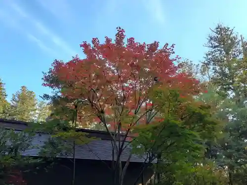 大崎八幡宮(宮城県)
