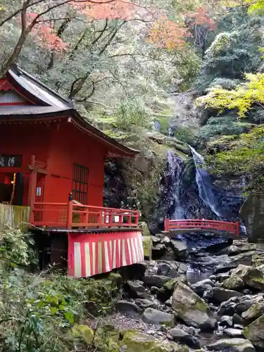 大本山七宝瀧寺(大阪府)
