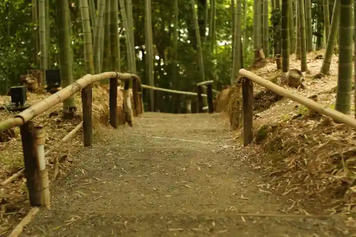 高台寺(高台寿聖禅寺・高臺寺)(京都府)