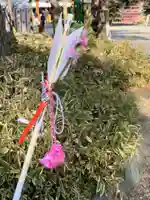 櫻木神社(千葉県)