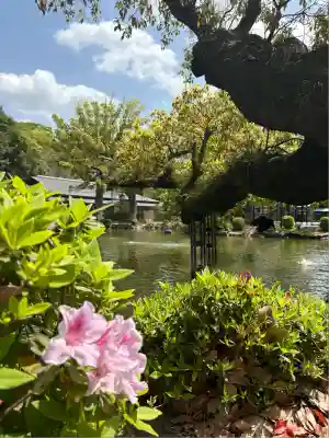 宗像大社(福岡県)