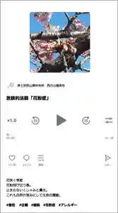 西方山極楽寺(岐阜県)(2024年02月27日(火) 18時07分27秒投稿)