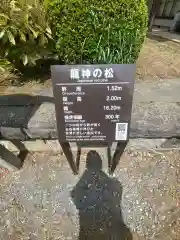 寺下観音の自然