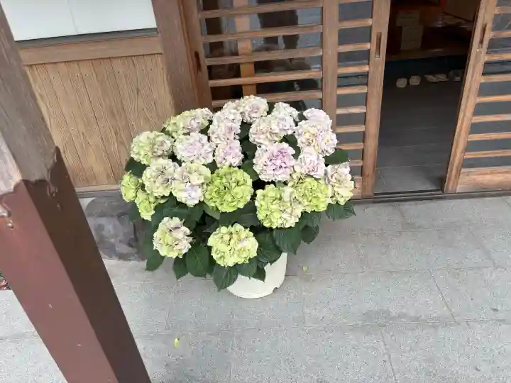 美奈宜神社(福岡県)
