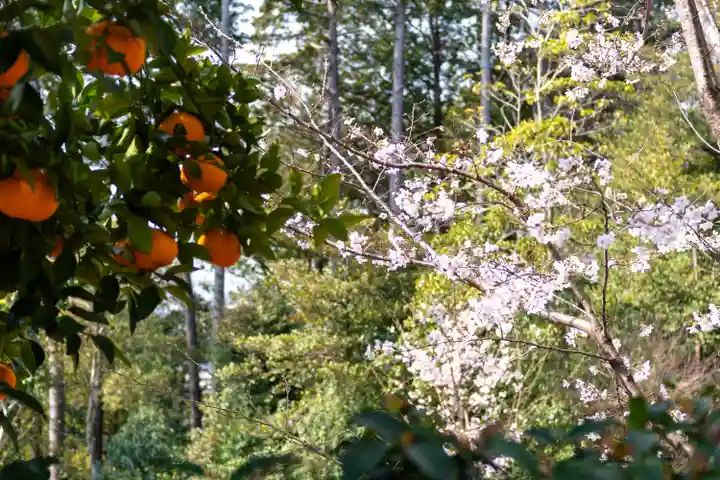建勲神社(京都府)