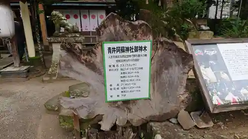 青井阿蘇神社の建物その他