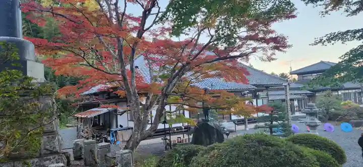宝蔵寺の本殿・本堂