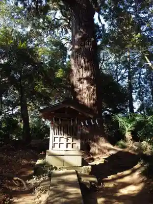 日吉神社(千葉県)