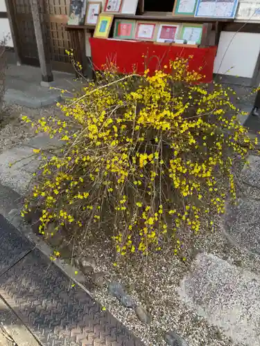 崇道天皇社(奈良県)