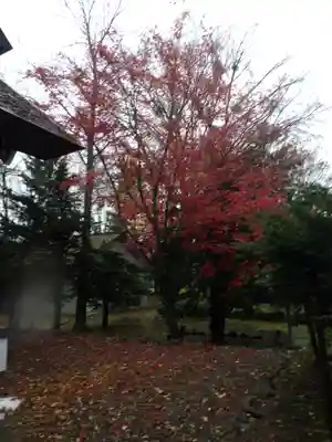 和寒神社の自然