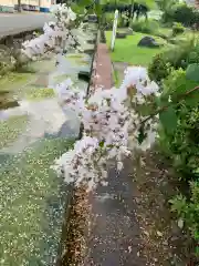 小烏神社(福井県)