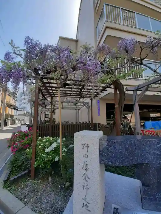藤之宮 春日神社(野田の藤跡)の{uncategorized: "未分類", other: "その他", undefined: "問題あり", building: "その他建物", grave: "お墓", sacred_gate: "鳥居", guardian: "狛犬", statue: "像", buddha: "仏像", history: "歴史", nature: "自然", garden: "庭園", animal: "動物", pagoda: "塔", temizu: "手水舎", mountain_gate: "山門・神門", sanctuary: "本殿・本堂", subordinate: "末社・摂社", art: "芸術", scenery: "景色", jizo: "地蔵", ema: "絵馬", goshuin: "御朱印", omikuji: "おみくじ", items: "授与品その他", amulet: "お守り", goshuincho: "御朱印帳", eats: "食事", festival: "お祭り", votive_dance: "神楽", shichigosan: "七五三参", wedding: "結婚式", experience: "体験その他", initially: "初詣", around: "周辺", anti_infection: "感染症対策"}