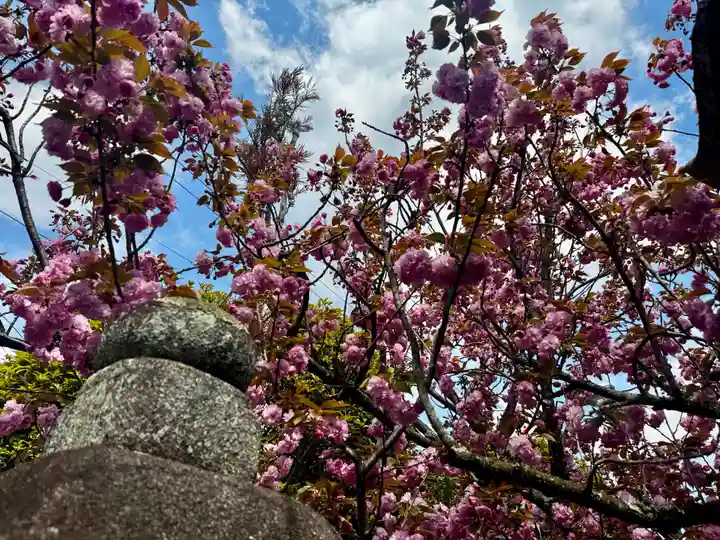 御霊神社(奈良県)