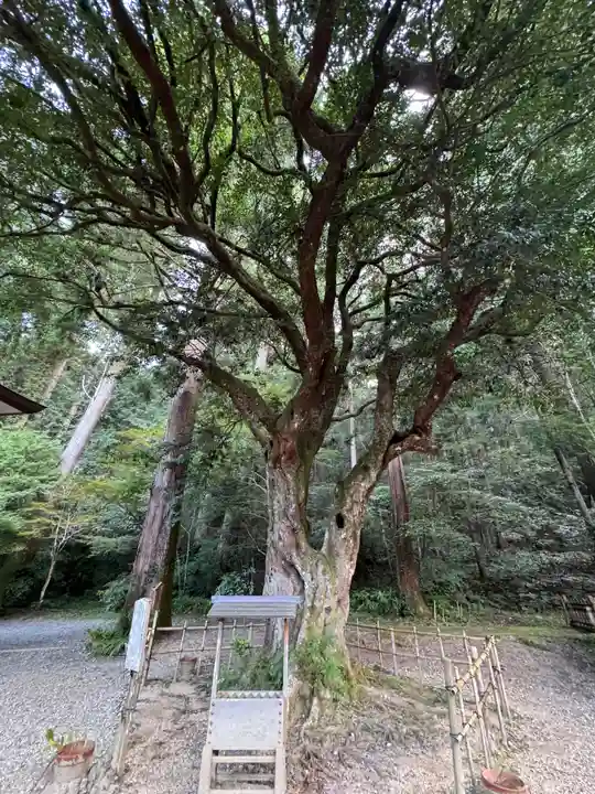 小國神社(静岡県)