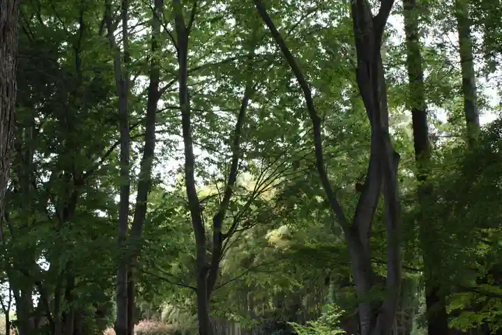 東福禅寺(東福寺)(京都府)
