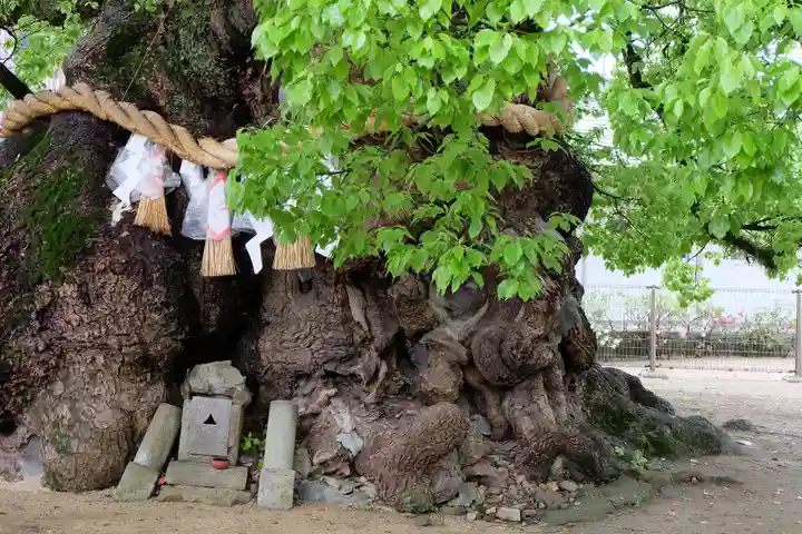 善通寺(香川県)