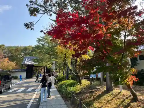 南禅寺の山門・神門