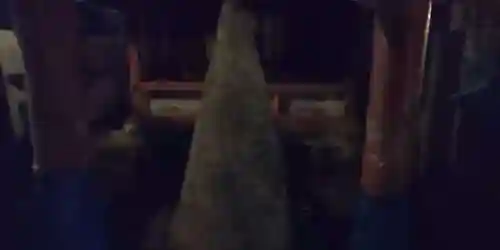 車折神社(京都府)