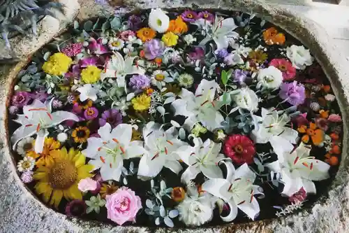 立志神社の手水舎