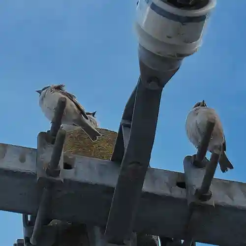 高司神社〜むすびの神の鎮まる社〜(福島県)