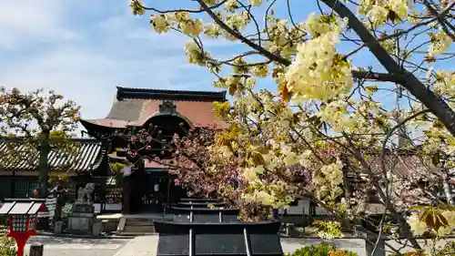 六孫王神社(京都府)