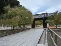 醍醐寺(京都府)