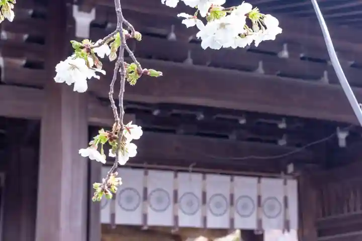 三嶋大社(静岡県)