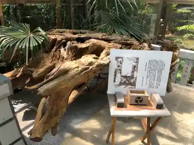 天沼熊野神社(東京都)