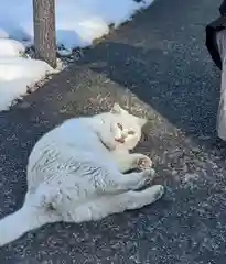 恵林寺の動物