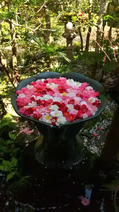法然院の手水舎