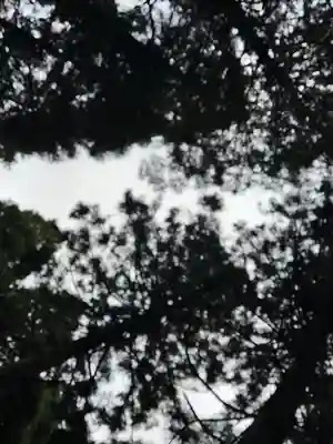 上色見熊野座神社(熊本県)