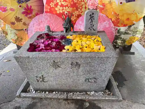 札幌諏訪神社の手水舎