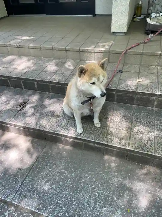 笠䅣稲荷神社(神奈川県)