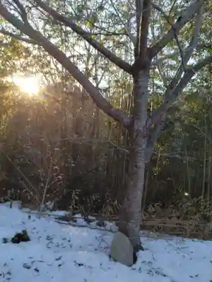 八龍神社（塩ノ貝）(宮城県)