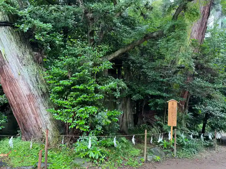 香取神宮(千葉県)