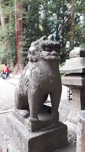 大崎八幡宮の狛犬