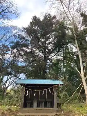 蛟蝄神社門の宮(茨城県)
