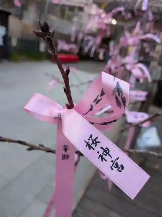 桜神宮(東京都)