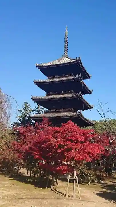 仁和寺の塔