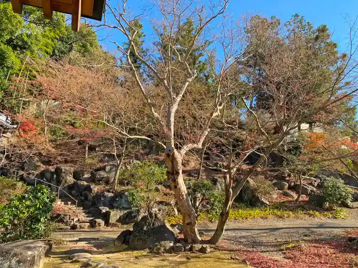 愛宕神社の自然