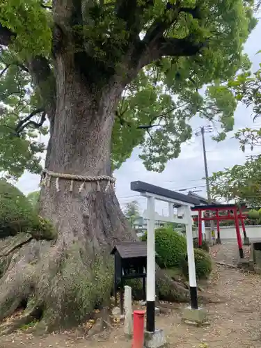 尾崎稲荷大明神(大阪府)