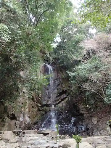 石上神社の自然