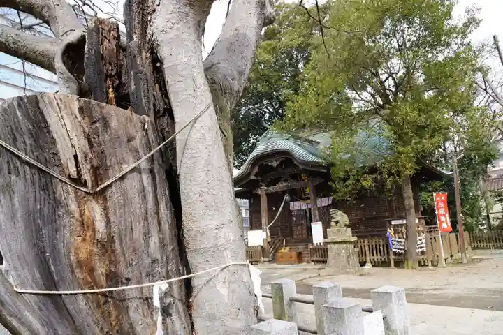 阿邪訶根神社のその他建物