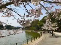 橿原神宮(奈良県)