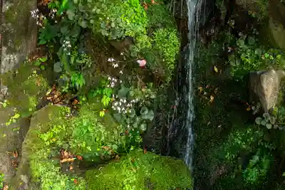 諏訪大社(長野県)