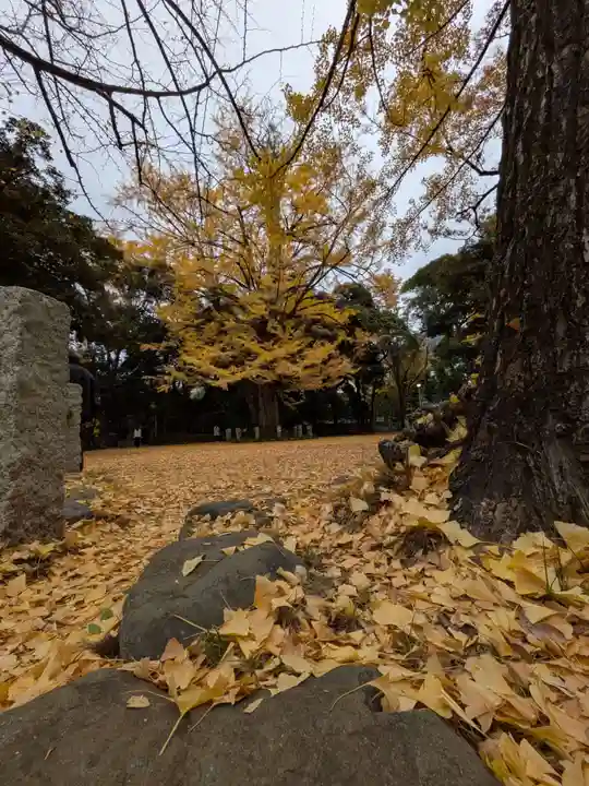 赤坂氷川神社(東京都)
