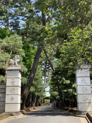 豪徳寺の山門