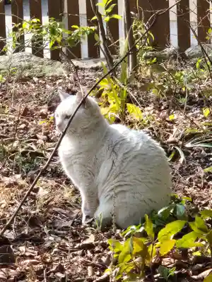 鳥飼八幡宮(福岡県)