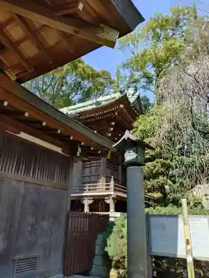 登渡神社(千葉県)
